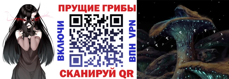 как найти   Урень  Псилоцибиновые грибы прущие грибы 
